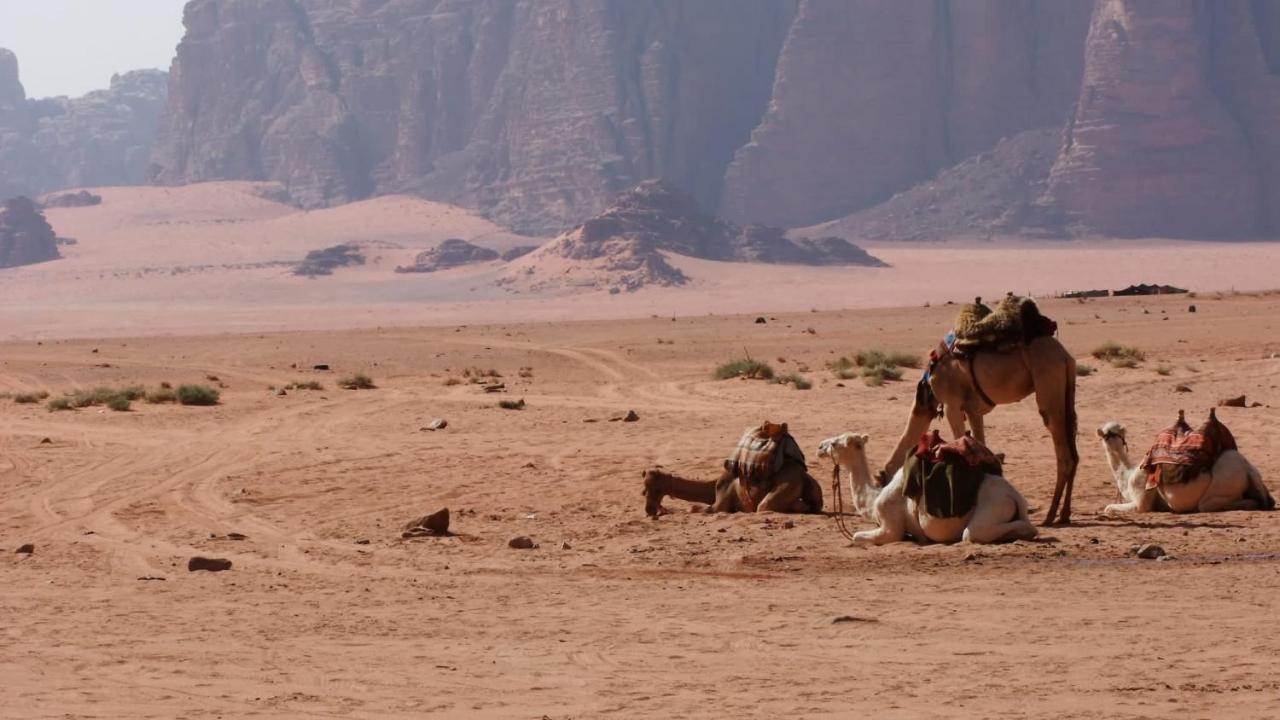Hotel Bedouin Memories Camp Wadi Rum Exteriér fotografie